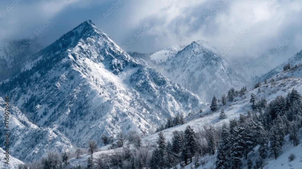 Obraz premium Expansive snowy mountains stretch across the horizon, surrounded by thick clouds. Evergreen trees dot the lower slopes, creating a tranquil winter landscape.