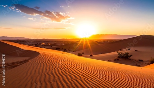 Desert sunset landscape