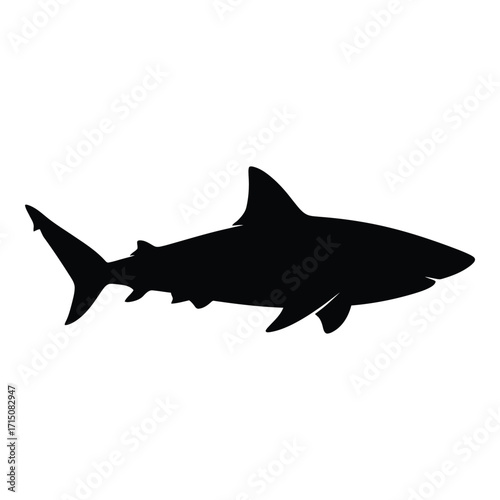 A striking black shark form against a white background silhouette