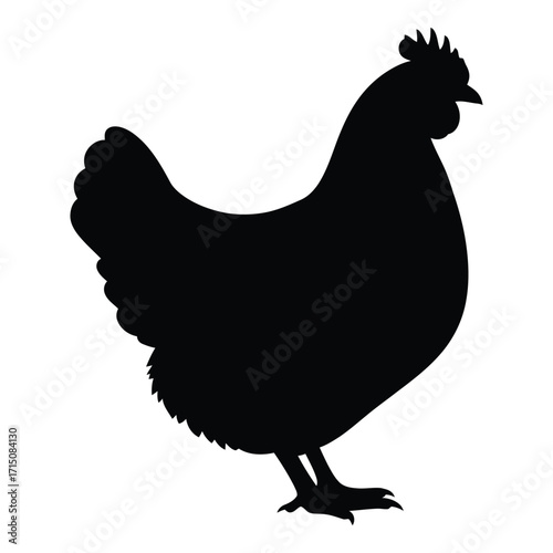A striking black chicken form presented as a detailed silhouette