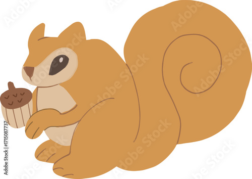 A cute squirrel is holding a acorn nut in its mouth