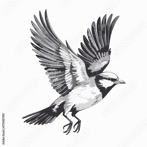 flying birds charcoal sketch with ivory watercolor accents for motion contrast