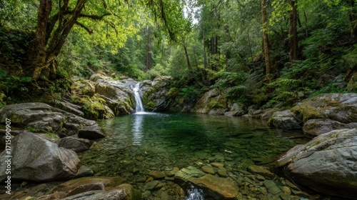 A gentle waterfall flows into a clear pool, with large rocks and vibrant green foliage framing the serene setting. Sunlight filters through the trees, creating a peaceful atmosphere.
