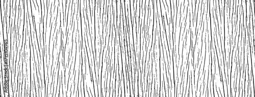 Tree bark texture