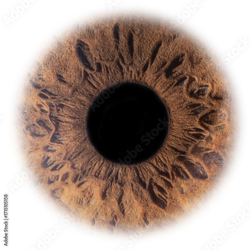 High-Resolution Eye Iris Texture Isolated on Transparent Background