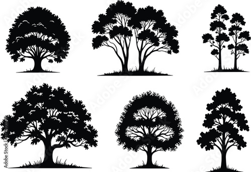 Tree, silhouette, black, vector, illustration, nature, forest, landscape, foliage, trunk, canopy, shadow, sketch, design, stylized, shape, plant, environment, greenery, graphic