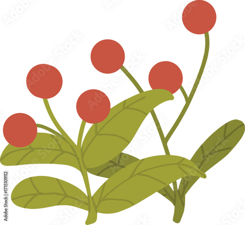 A close up of a plant with red berries