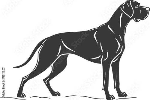 Great Dane Dog Silhouette – Vector PNG, Transparent Background
