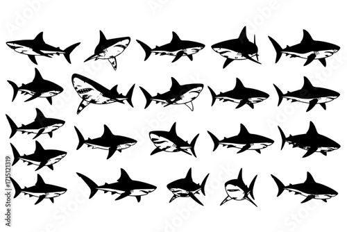 cute Shark vector set graphic clipart design featuring various shark species and dynamic poses. Ideal for ocean, marine life, wildlife projects, sports logos, and educational materials.