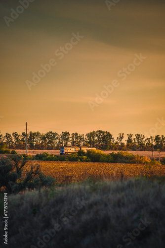a train traveling on a railway line surrounded by a field of golden sunflowers and a line of trees, with a focus on the moody, golden-orange sky.