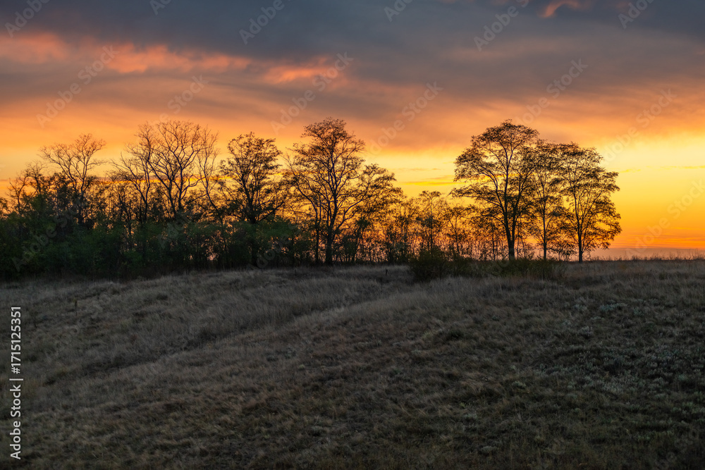 Fototapeta premium A tranquil autumn evening scene with the silhouette of trees against a blazing yellow and orange sunset, featuring a dramatic cloud formation.