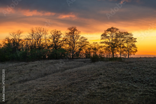 A tranquil autumn evening scene with the silhouette of trees against a blazing yellow and orange sunset, featuring a dramatic cloud formation.