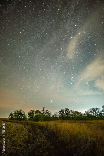A wide view of a field at night, with a dirt path leading into the frame, all under a vast, star-filled sky with the milky way shining brightly.