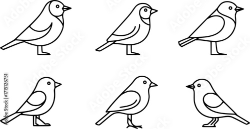 Set of bird line icons.
