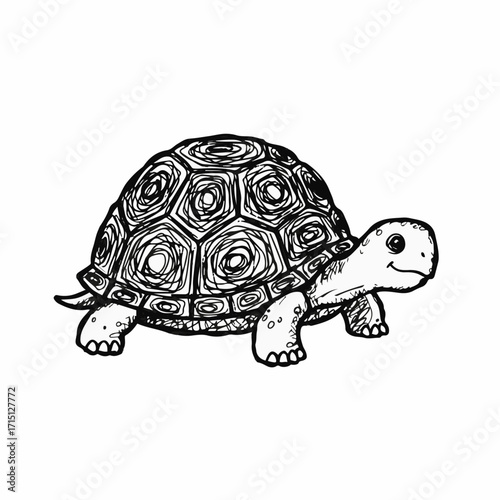 A charming black and white sketch of a tortoise with a patterned shell and a friendly expression.