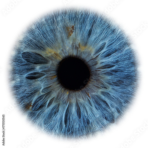 High-Resolution Blue Eye Texture Isolated on Transparent Background