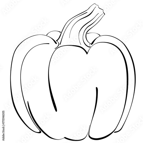 Pumpkin - Stylized Illustration. Black Outline, Transparent Background.