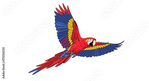 Scarlet Macaw in Flight: Vibrant Illustration of a Tropical Bird, Featuring Bold Colors and Open Wings Against a Clean White Background