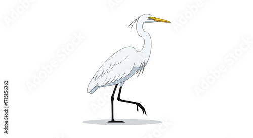 Elegant egret illustration displaying balanced posture on a white background enhancing aesthetic clarity and simplicity showcasing bird's unique
