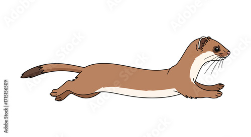 A sleek stoat illustration with cartoon charm, showcasing its lithe body and energetic movement on a crisp white background