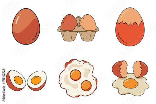 Set of illustrated eggs and egg dishes in various stages  
