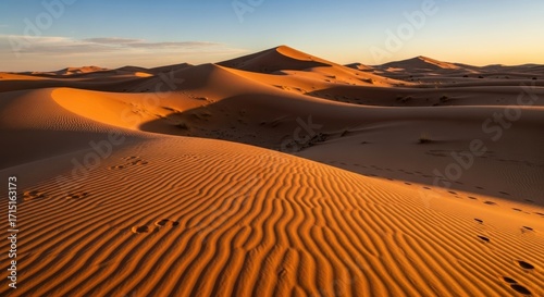 Fototapeta Naklejka Na Ścianę i Meble -  Majestic Sand Dunes Illuminated by Golden Hour Sunlight in the Sahara