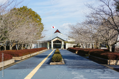 春を待つ知覧の桜並木と平和祈念館の静寂