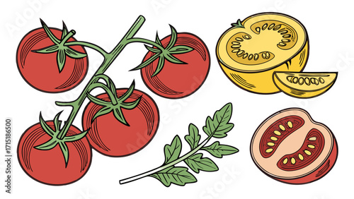 Variety of Tomatoes – Realistic Vector PNG, Transparent Background