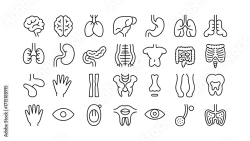 Collection of medical organ icons for healthcare design