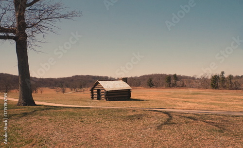 Landscape of Cabin in Golden Field