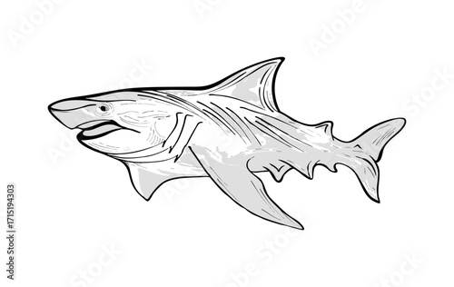 Shark Outline Sketch for Marine Life Concept. Monochrome Shark Illustration with Shading. Black and white hand drawn shark illustration with detailed fins, tail, and textured shading	