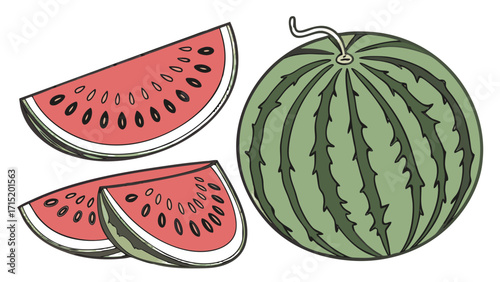 Watermelon – Realistic Vector PNG, Transparent Background
