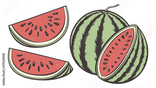 Watermelon – Realistic Vector PNG, Transparent Background