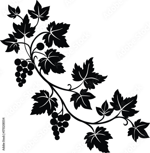 vine silhouette vector on white background_processed.eps