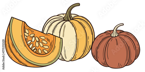 Pumpkin Set – Realistic Vector PNGs, Transparent Background