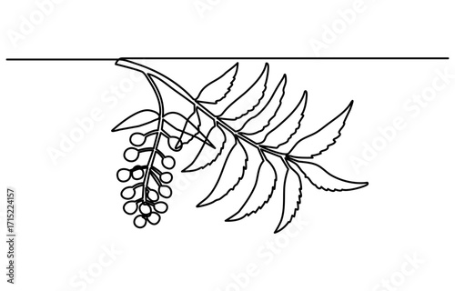  Green Neem Leaves continuous one line drawing. Neem leaves collection. silhouette neem leafs vector, a green neem plant with leaves on white background, green leaves