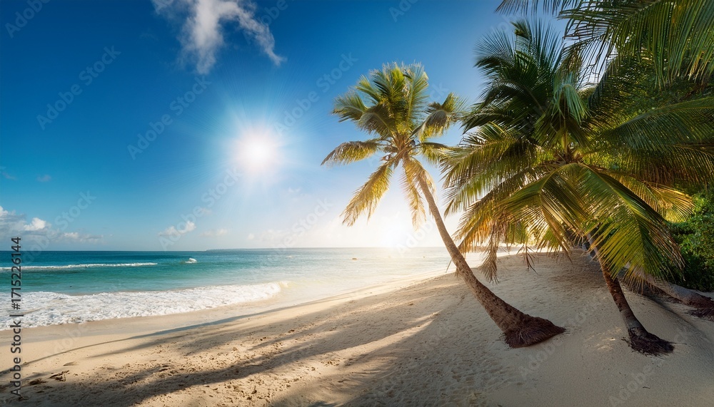 Obraz premium Tropical Beach Scene With Palm Trees And Sunlight
