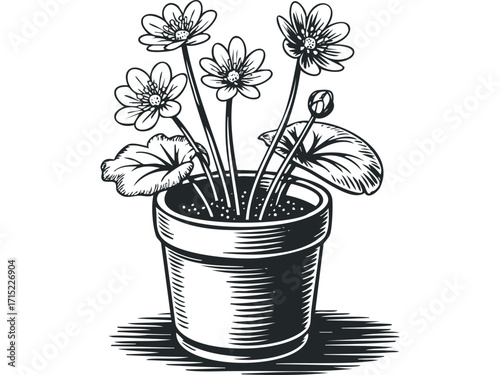 Potted flowering plant with delicate petals and leaves rendered in a striking black and white graphic style on transparent background. Vector hand drawn
