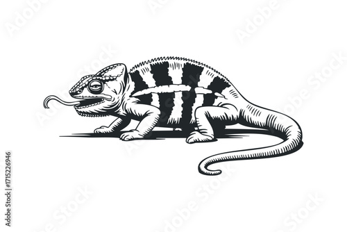 Chameleon with tongue extended. Vector hand drawn