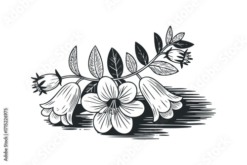 Branch of Bell Flowers and Leaves on Transparent Background. Vector hand drawn