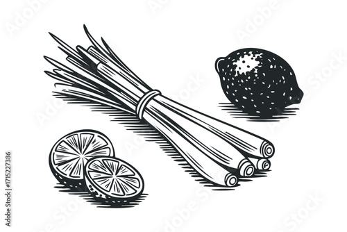 Lemongrass stalks and citrus fruit slices on transparent background. Vector hand drawn