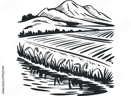 Sketch of a cultivated landscape with mountains in the distance. Vector hand drawn