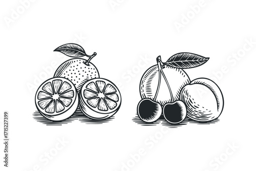 Line drawing of orange halves and whole citrus fruit with leaves. Vector hand drawn