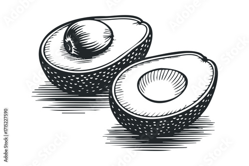 Two halves of an avocado on a transparent background with hatching details. Vector hand drawn