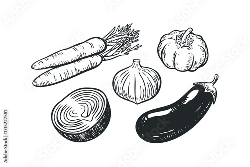 Collection of hand drawn vegetables including eggplant, carrot, onion, bell pepper, and root vegetable slice. Vector hand drawn