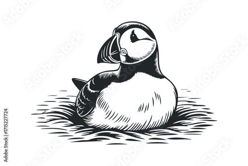 Puffin bird sitting on textured ground, simple graphic representation,. Vector hand drawn