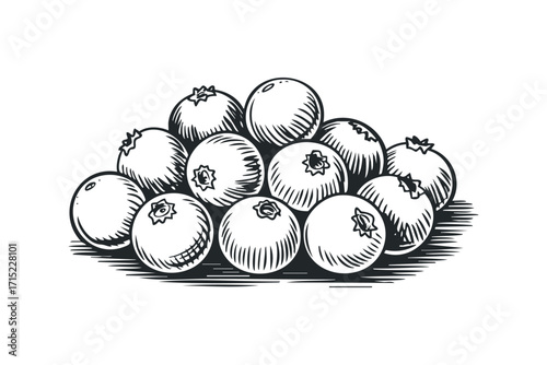 Pile of fresh blueberries on transparent. Vector hand drawn