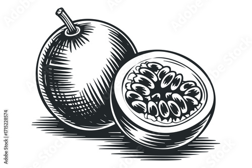 Engraving Style Passion Fruit Transparent Background. Vector hand drawn