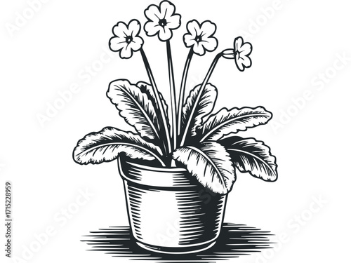 Potted flowering plant with detailed leaves and stems. Vector hand drawn