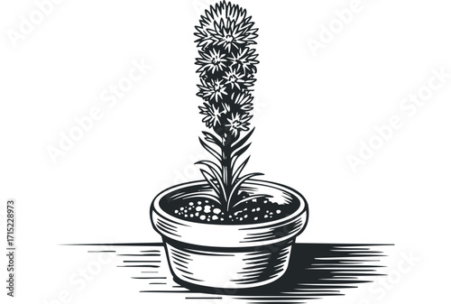 Single potted plant with elongated flower cluster and leaves. Vector hand drawn